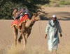 Camel Safari in Thar