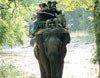 Elephant Safari at Corbett