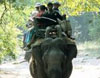 Elephant Riding Corbett