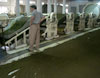 Green Tea Factory