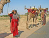 Tribal Tour of Gujarat