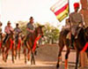 Horse Safari In Rajasthan