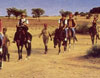 Horse Safari Rajasthan