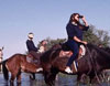 Horse Safari Rajasthan